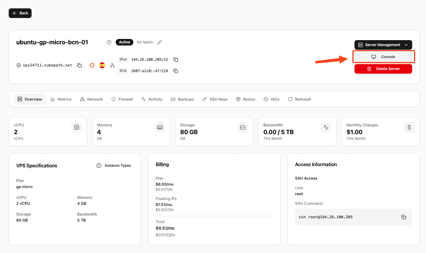 Console button in the VPS header