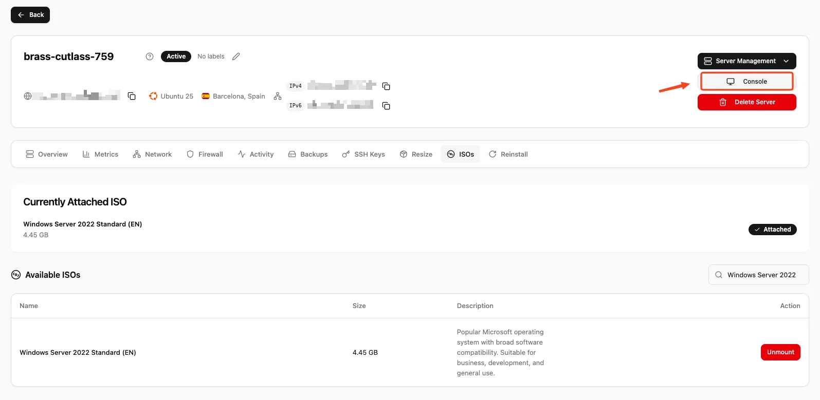 Console button in the VPS dashboard